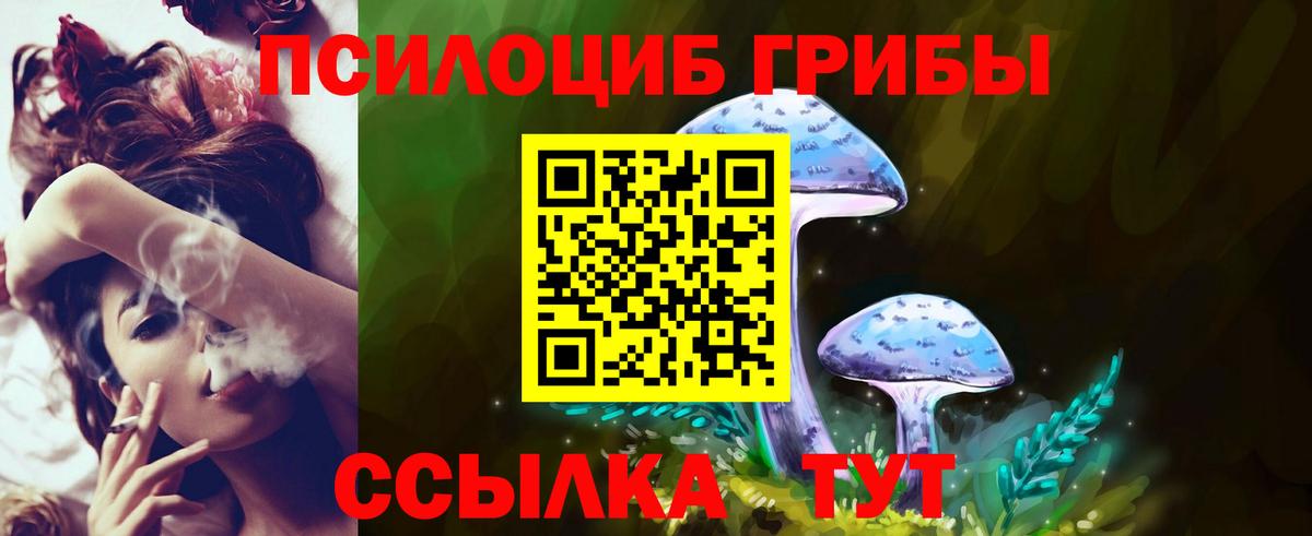 наркота  Вход с VPN  Сертолово  Псилоцибиновые грибы Psilocybe 